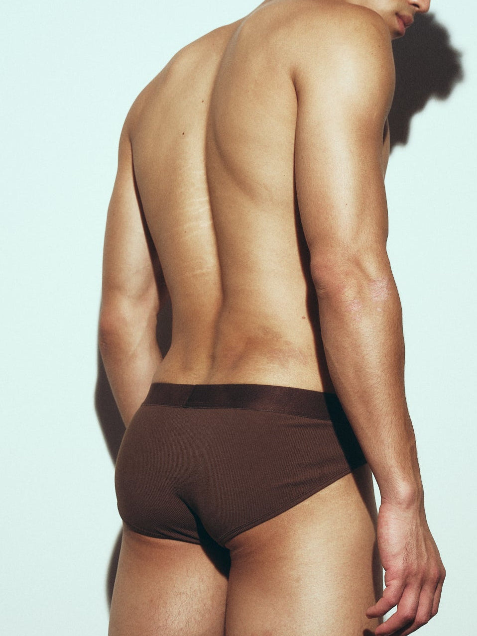 Beneath Modal Brief - Tobacco